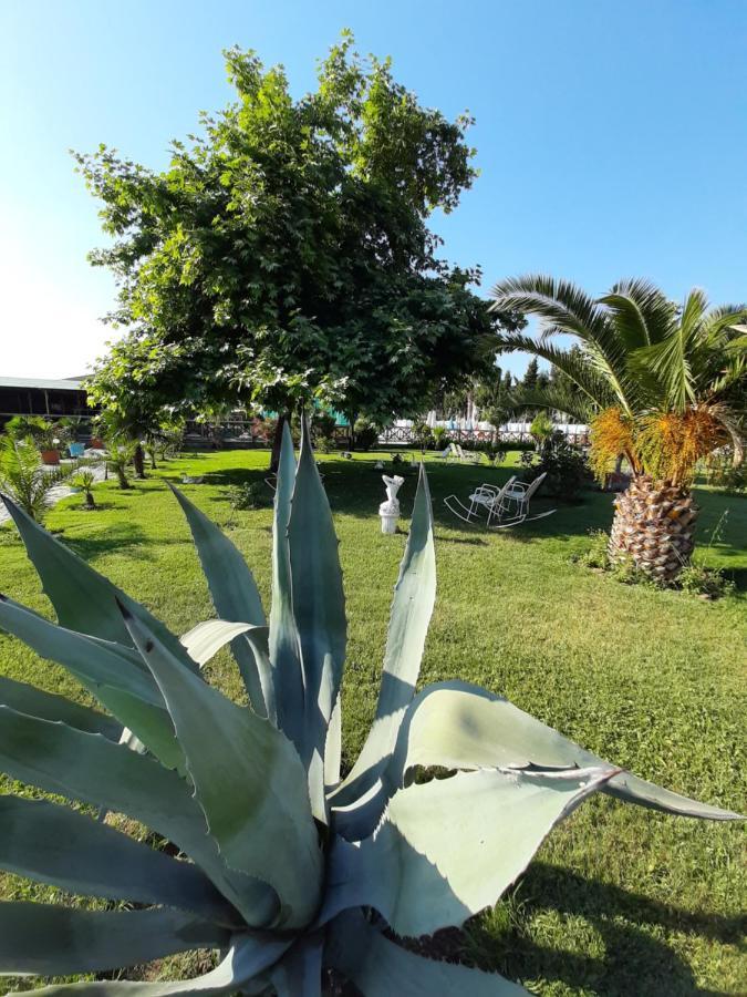 Mertur Hotel Ciftlikkoy  Экстерьер фото